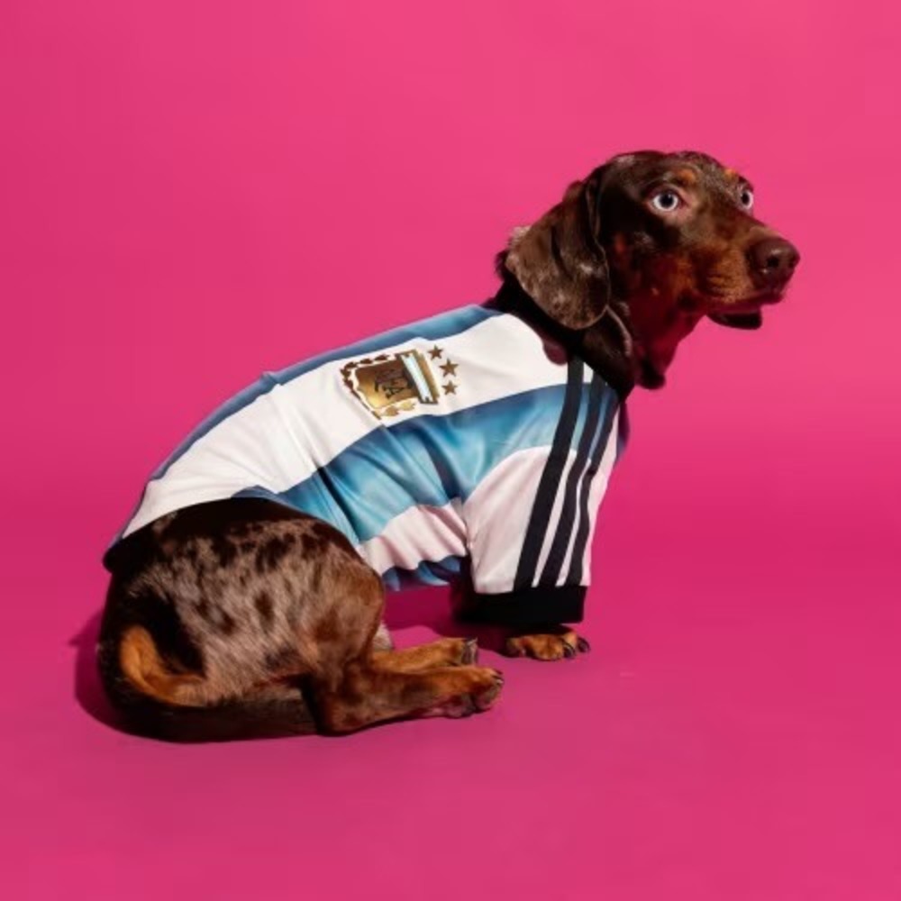 Adidas Argentina Pet Jersey AFA Soccer Dog Shirt Blue White Striped Small NWT